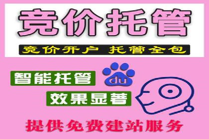 整合SEO与SEM，打造品牌营销新模式——案例研究